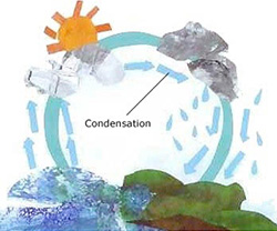 illustration of the water cycle, with pointer at condensation