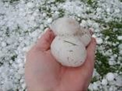 person holding large hail stones