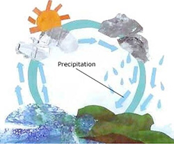 illustration of the water cycle, with pointer at precipitation