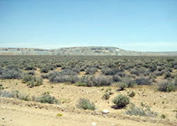 land in the desert